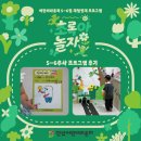 골프놀이터3 | [후기_어린이라운지] 초록아 놀자 : 여름놀이터 5-6주차 프로그램