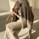 라쿤(Racoon) 이미지