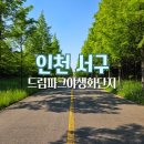서구-01-04 | 인천 아이와 가볼만한곳 드림파크 야생화단지 아기랑 주말 피크닉 나들이하기좋은곳