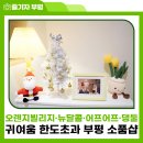 댕둘 이미지