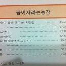 낭천농장 네이버블로그