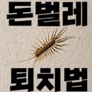 합의 종결은 없다… 악마가 된 ‘상품권 예판 사채’, 전원 형사처벌과 전재산 추징이 답이다 이미지