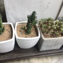 부칸산837 이미지