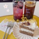 이백 하우스 | 송현아 카페 웁스어데이지 주차 편한 당근케이크 맛집 방문 후기