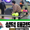 성덕태권도 이미지