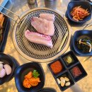 (주)티뮤지움 네이버블로그