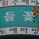 들꽃칡수제비 이미지