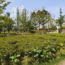 시민공원 이미지