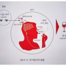 멘탈 리셋(자기탐구) 이미지