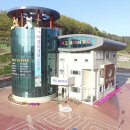 진도개천국 이미지