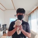한빛 애견마을 이미지