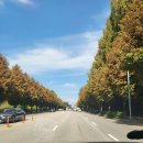 본촌주유소 이미지