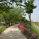 안양천 산책로 이미지