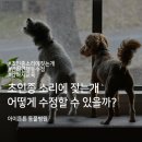 수정동물병원 이미지