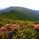 소백산식물원