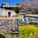 주정차단속-58 | 부산 벚꽃 명소 동래 읍성 피크닉부터 온천천 카페거리까지