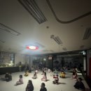 한숲 경희대 MTA태권도장 | [한숲경희대MTA] MTA 영화관