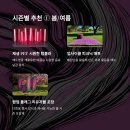 친환경 기념품 제작 - 제로웨이스트 단체선물 소량주문 가능한 곳