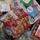 라곰글램핑 | 금산 라곰 글램핑⛺️