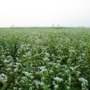 선운산농장 이미지