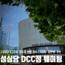 성심당DCC점 일요일 웨이팅 호밀빵 일반빵 구매후기 성심당주먹밥