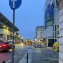 알짜고기 | 겨울 돌로미티 투어 내돈내산 마이리얼트립 알짜투어 후기