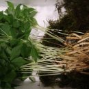 산내산천매운탕 이미지