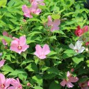 이룬농장 이미지