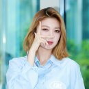 다미