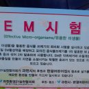 환경보존 환경위생 물과공기를 맑게하는 EM활성액 과천시민 배포 이미지