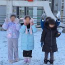 경희대 찬 태권도장 | 2월의 눈, 이제야 꺼내보는 아이들의 웃음 ❄️