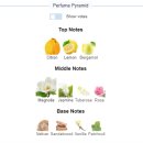 레어아쿠아 이미지