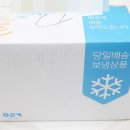 펫잇보리 이미지