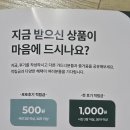 캐츠앤독스 투명우산 예쁜우산 추천 네덜란드 EsscjertDesign