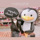 안양카 세차장 | Snow spectacle