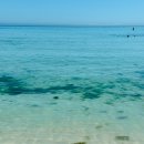 달뜨는 마을 보금자리 | 제주 구좌읍 맛집 월정리해수욕장 월정리 달이뜨는식탁