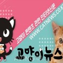 나루코주 이미지
