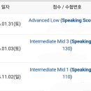 을-160 | [토익스피킹] AL(160점) 달성 공부법 및 후기