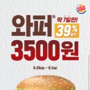 버거킹비발디점 이미지