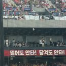 고기궁전 산수점 | 광주 기아챔피언스필드 원정 후기(aka.맛집뿌시기) | 산수쌈밥, 창억떡, 두꺼비게장백반, 박소영왕만두🤤😋