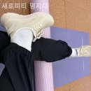 새로피티 | 남가좌동헬스장 새로피티 명지대 헬스장 후기