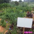 프로농장 이미지