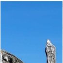 덕유산계곡펜션 이미지