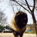 바론 이미지