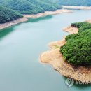 태풍 '송다' 최대 191mm 뿌렸지만..주암댐 가뭄 해소 부족 이미지