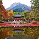 동해회관 이미지