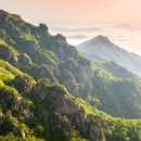 태평카써비스 이미지