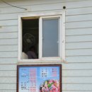 우도활어식당 이미지