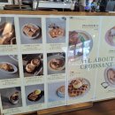 [내돈내먹] 과천 bB coffee 비비커피
