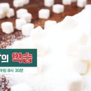 단맛의 역습 이미지